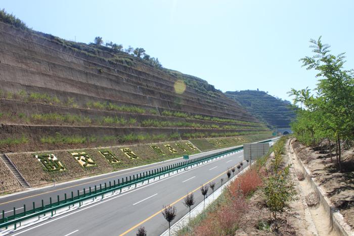 雷西高速公路绿化护坡